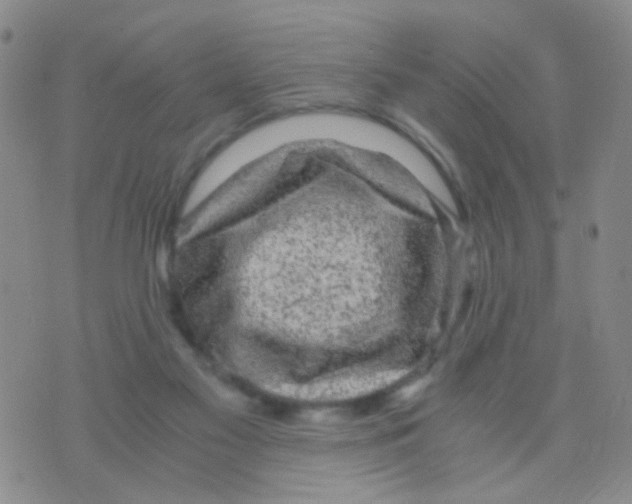 X0000075920117200610151916