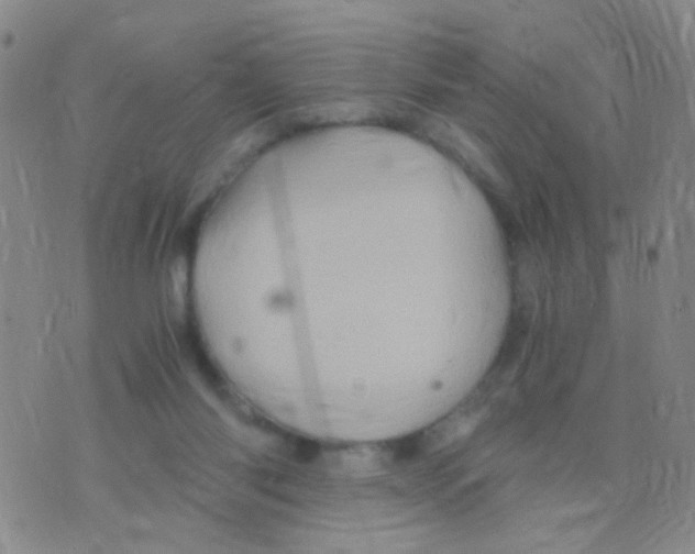 X0000075920118200610151916