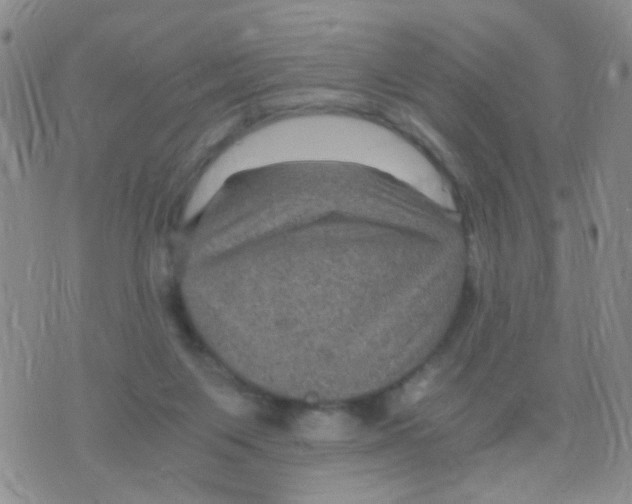 X0000075920119200610151916