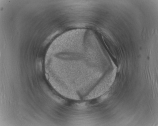 X0000075920120200610151916