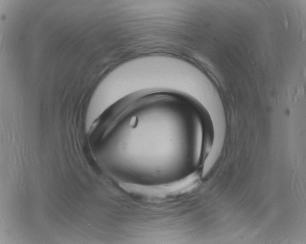 X0000075920121200610151916