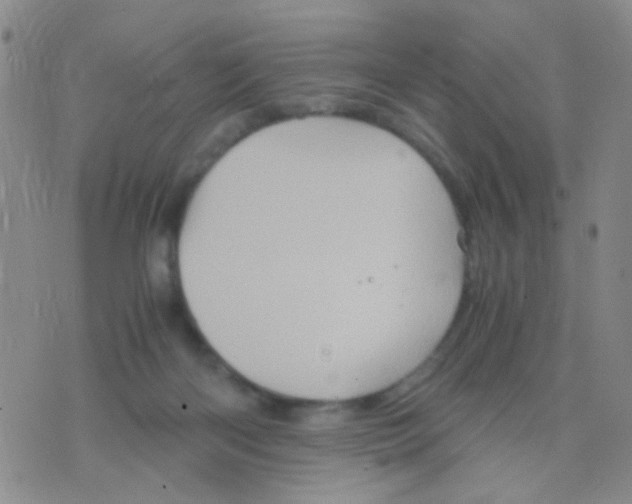 X0000075920122200610151916