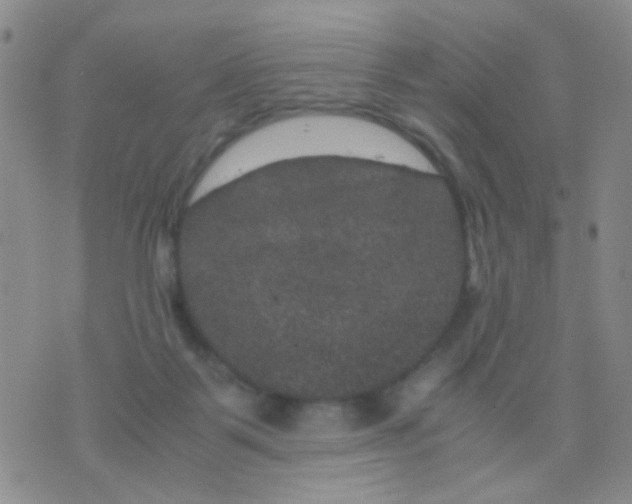 X0000075920123200610151916