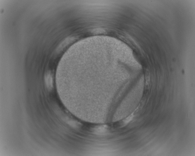 X0000075920124200610151916