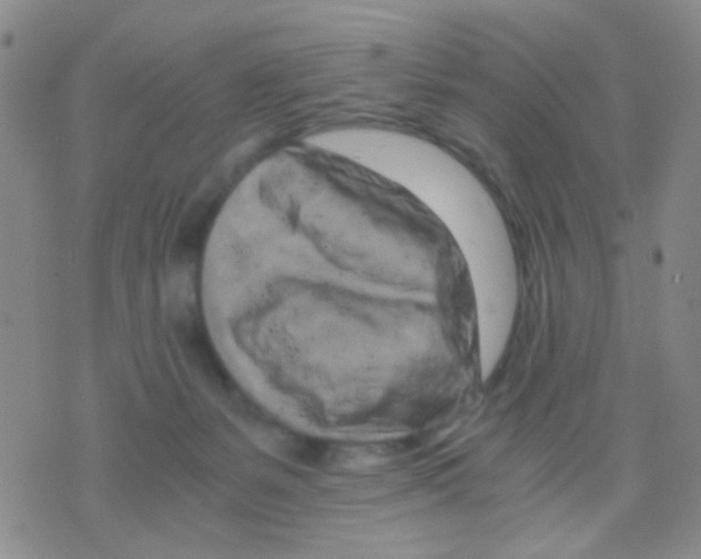 X0000075920127200610151916