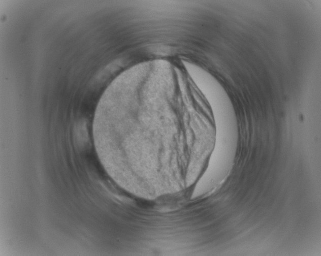 X0000075920128200610151916