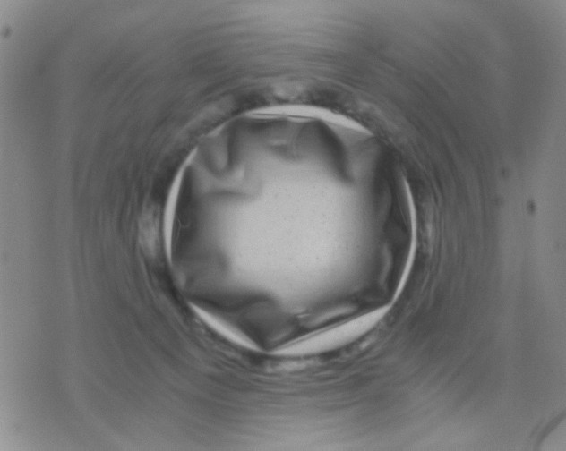 X0000075920129200610151916