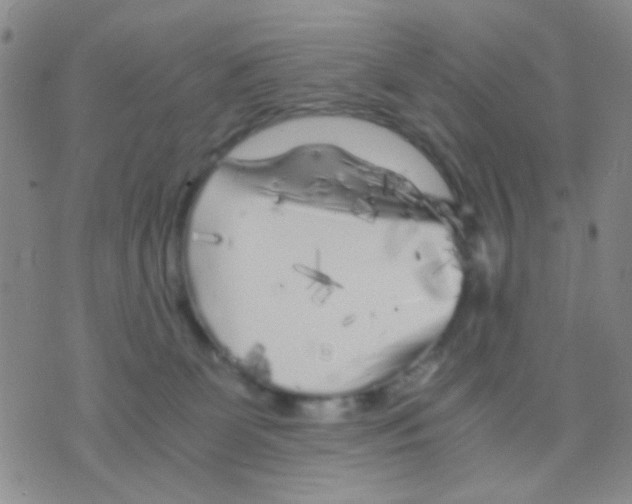 X0000075920131200610151916