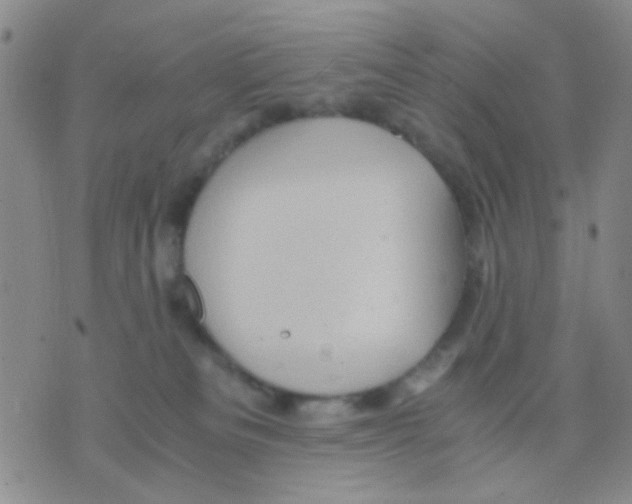 X0000075920133200610151916