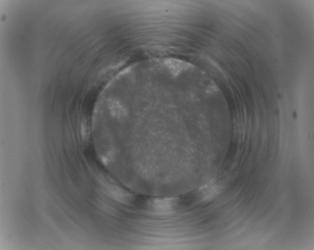 X0000075920134200610151916