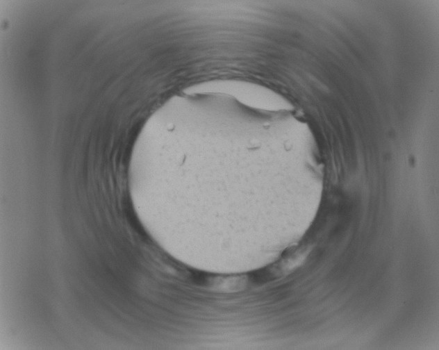 X0000075920135200610151916