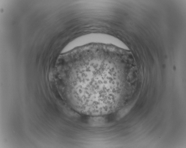 X0000075920137200610151916