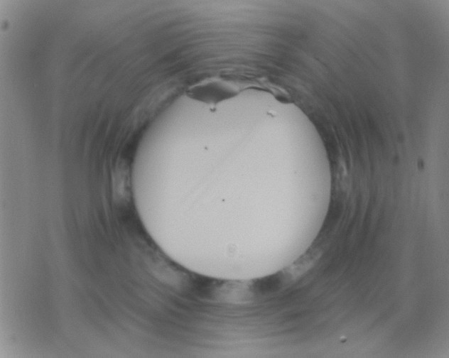 X0000075920138200610151916