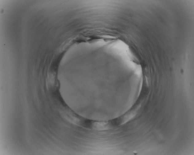 X0000075920139200610151916