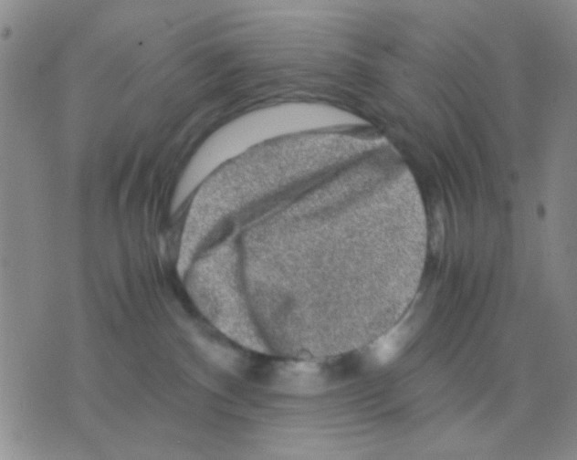 X0000075920140200610151916