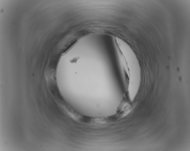 X0000075920141200610151916