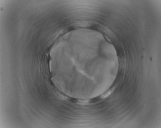 X0000075920143200610151916