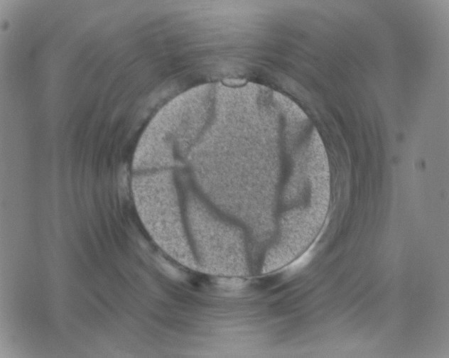 X0000075920144200610151916