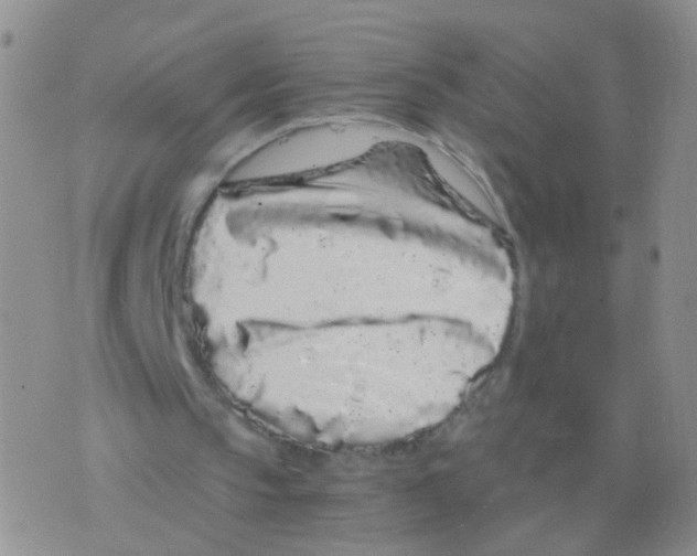 X0000075920145200610151915