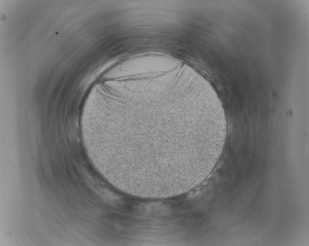 X0000075920146200610151915