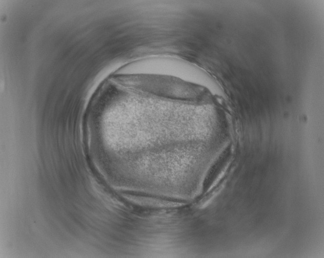 X0000075920148200610151915