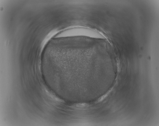 X0000075920152200610151915