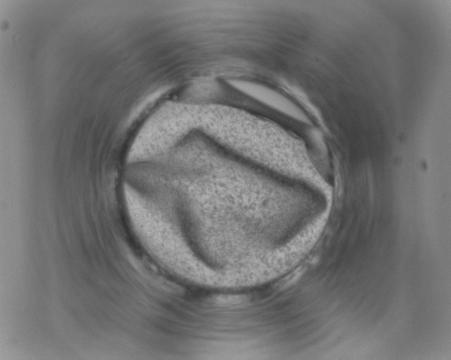 X0000075920154200610151915