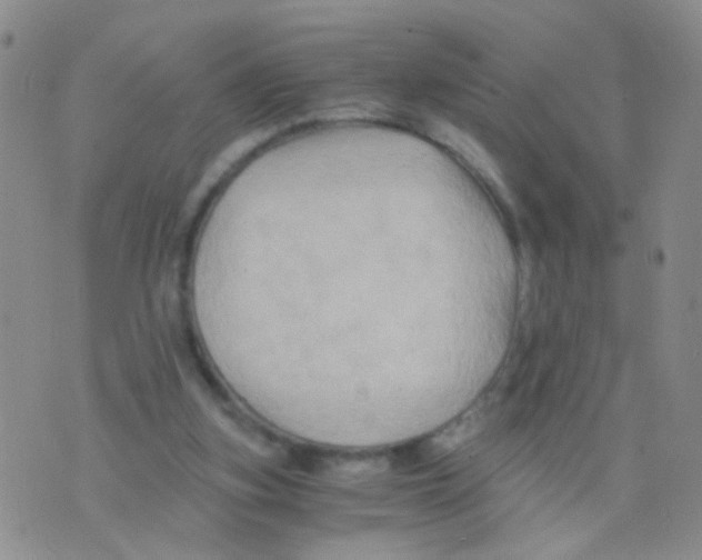 X0000075920155200610151915