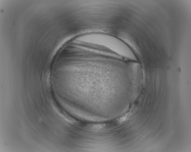 X0000075920156200610151915