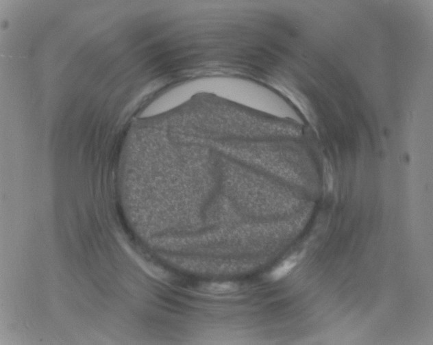 X0000075920157200610151915