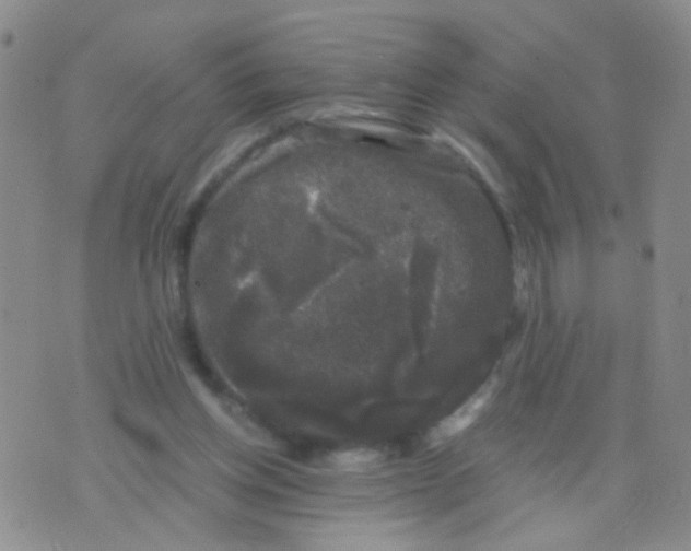 X0000075920158200610151915