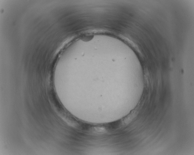 X0000075920159200610151915