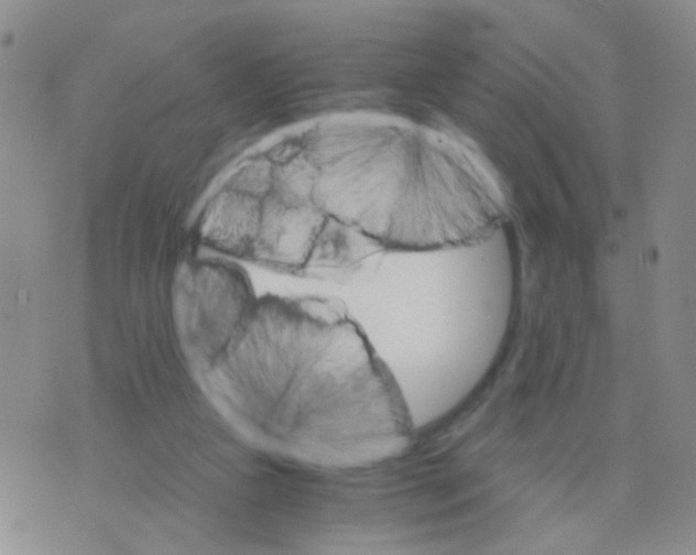 X0000075920161200610151915