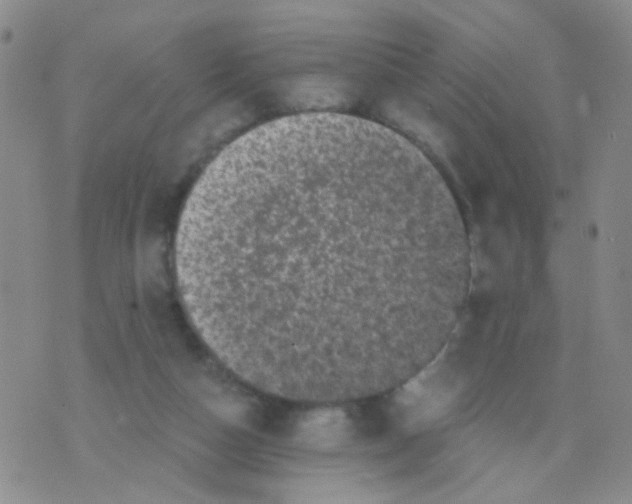 X0000075920162200610151915