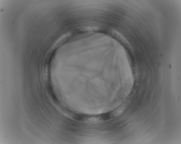 X0000075920163200610151915