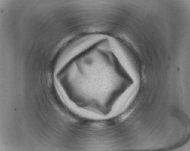 X0000075920164200610151915