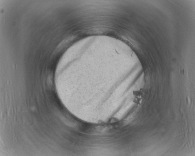 X0000075920166200610151915