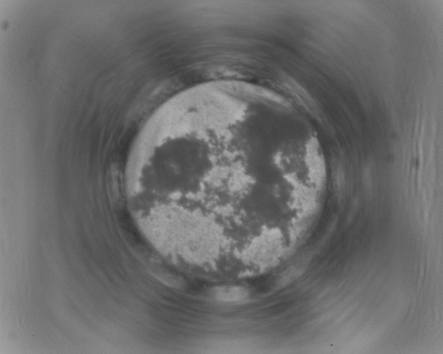 X0000075920169200610151915