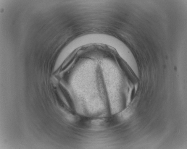 X0000075920172200610151915