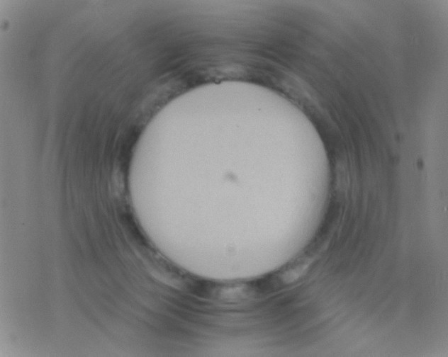 X0000075920173200610151915