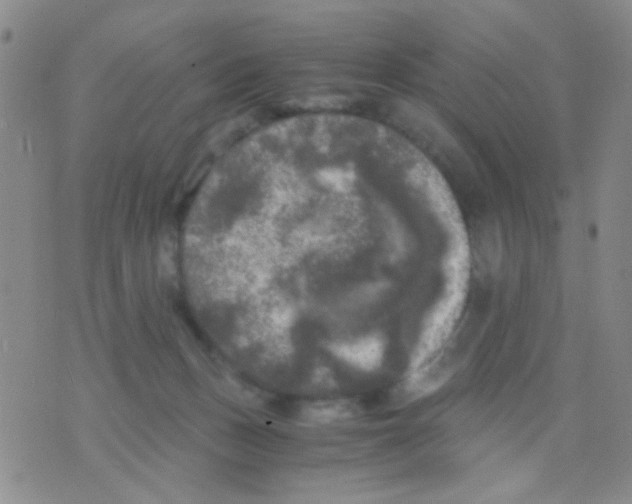 X0000075920175200610151915