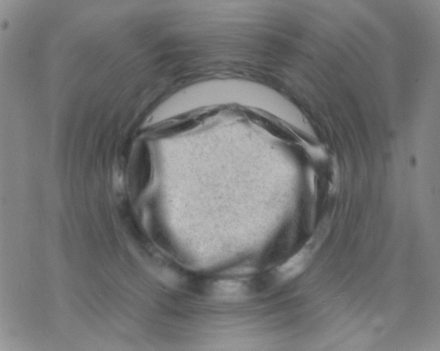 X0000075920176200610151915