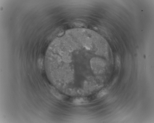 X0000075920177200610151915