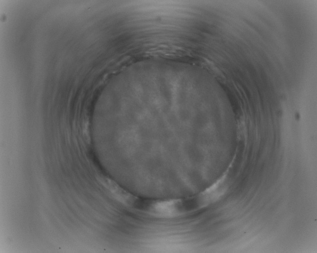 X0000075920178200610151915