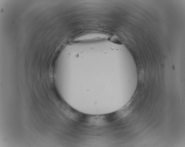 X0000075920179200610151915