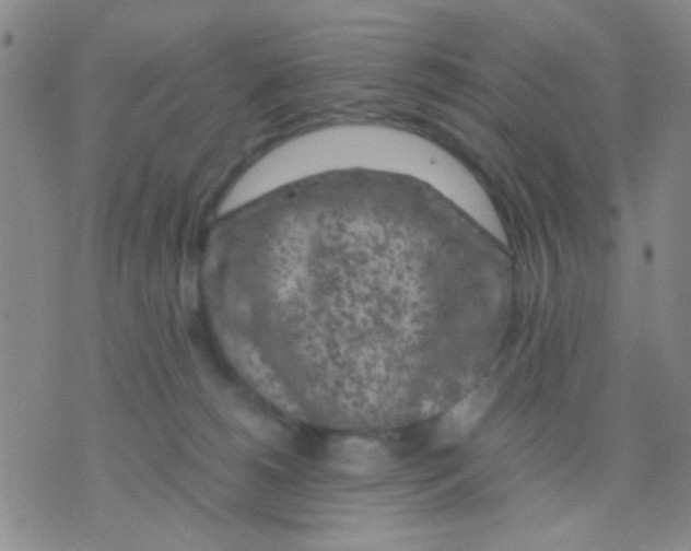 X0000075920180200610151915