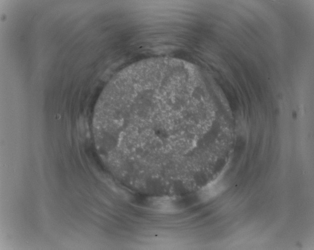 X0000075920182200610151915