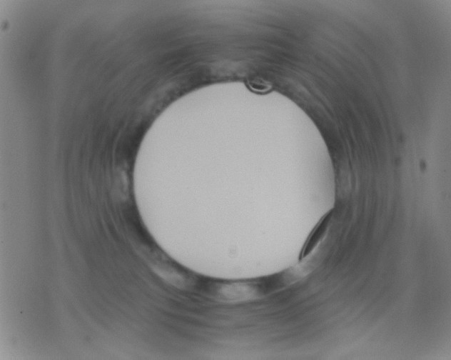 X0000075920183200610151915