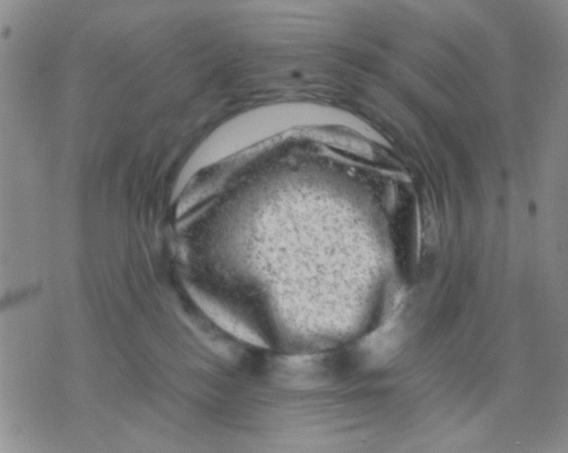 X0000075920184200610151915