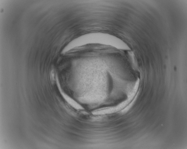 X0000075920190200610151916